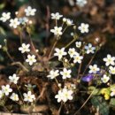 바람에정원 민박 이미지