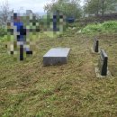 무주장의사 네이버블로그