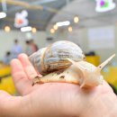 박현수농장 이미지