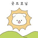 청송오리