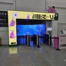 부산과학관 지하층 | 부산 가볼만한곳 국립부산과학관 완벽 공략법 (롯데월드 부산 연계 코스 추천)