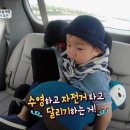 네이티브초이스