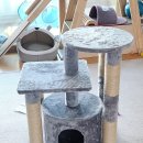 캣토리아 이미지