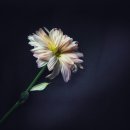 친한공인중개사사무소 이미지