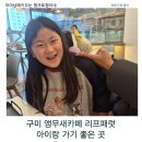 앵무새카페 | 구미 앵무새카페 리프패럿 체험 후기, 아이랑 가기 좋은 곳