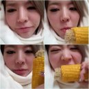 와작와작 이미지