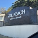 양양군 치매안심센터 | 쏠비치 양양 컨벤션센터 웨딩홀 결혼식장 뷔페 셰프스키친 후기 및 식대견적공유