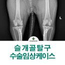 미사동물병원 이미지