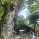 다원카페 - 북구 거진길 74 | 다원카페