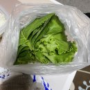 노랑통닭아중점 | 짜투리 모음이 되어버린 주간일기 챌린지(객리단길 다가수산 배달-광어반연어반, 노랑통닭, 스타벅스..)