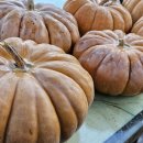 샘터농장 이미지