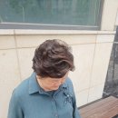 세종헤어 봉선점