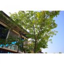 나래펜션 이미지