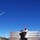 춘기목장 이미지