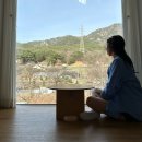 비롯 | [옥천] 충청남도 감성 독채 풀빌라, &#34;스테이비롯&#34; 솔직후기(야외수영장/자쿠지/개별바베큐/복층)