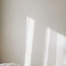 윤서헤어 - 전주시 덕진구 | 윤서헤어