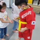 153 합기도 네이버블로그