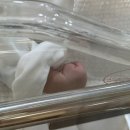 마리아산후조리원 이미지