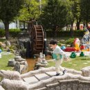 강릉 쌍둥이 동물농장 이미지