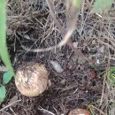 남훈행정사 이미지