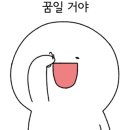 해쉬커피내서