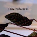 도서출판 구상