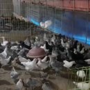 성숙농장 이미지