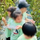 토마토유치원 이미지