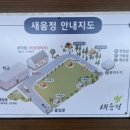 새움정
