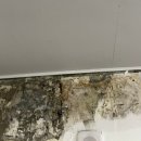 용산-현장-93 이미지