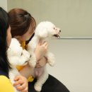대림미용타운