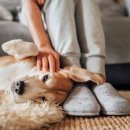 아이힐 동물병원 이미지