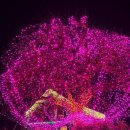 사임당로 114 | 처음부터 정착까지 든든했던 강남유학원 모두캐나다유학이민