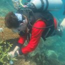 (주)펀섬 이미지