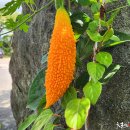 잉꼬식당 - 용인시 수지구 | 잉꼬식당