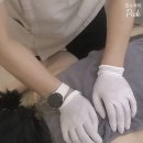 아이앤비 - 강남구 | 병점 체형관리 발 족압관리로 아이앤비뷰티랩에서 근막 관리받은 후기