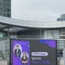 아침을 깨우는 아로마 테라피 | 2025 웰니버스 인천/웰테라피 액티브 스트레칭 클래스 참여 후기🌿인천에서 만난 진짜 웰니스
