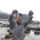씨싸이드하우스