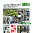 고찌글라 이미지