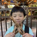 경주국가대표태권도장 이미지