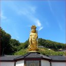 "사진 보고 동남아인 줄 알았는데 우리나라였다니.." 차 타고 돌아보는 이색 사찰 명소 이미지