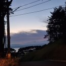 꽃지어울 이미지