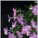 대덕공인중개사사무소 이미지