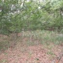 선두1리 마을회관 이미지