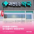 과천든든약국 네이버블로그