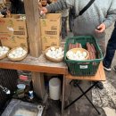 브레드판다(BREAD PANDA) | 후쿠오카 여행 2일차 : 유후인, 벳푸 일일버스투어 2탄 / 251211(NOL여행)