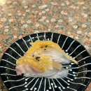 루키초밥