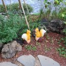 보라매355 이미지