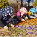 월미공원 안내소 화장실 이미지