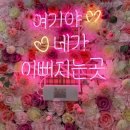 썬네일샵 - 완도군 개포로62번길 25 | 썬네일샵